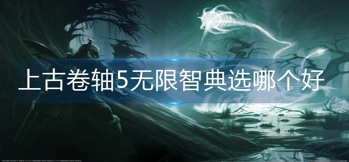 上古卷轴5无限智典选哪个好