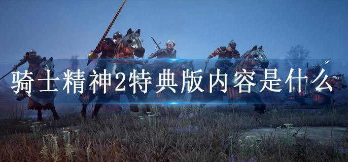 骑士精神2特典版内容是什么