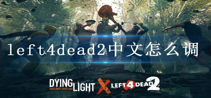 left4dead2中文怎么调