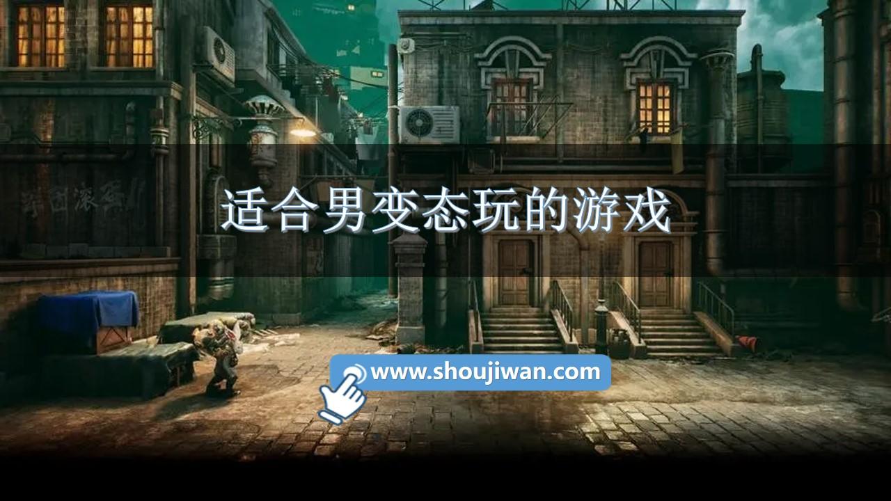 适合男变态玩的游戏