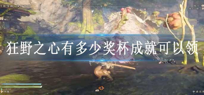 狂野之心有多少奖杯成就可以领