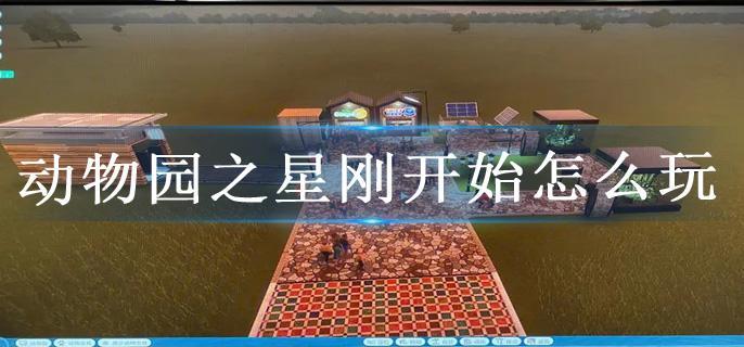 动物园之星刚开始怎么玩