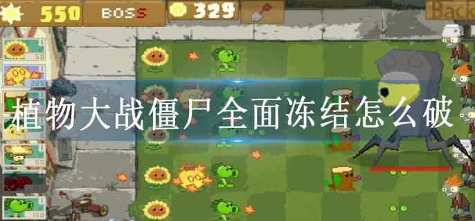 植物大战僵尸全面冻结怎么破