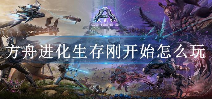 方舟进化生存刚开始怎么玩