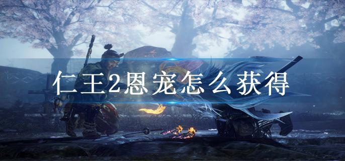 仁王2恩宠怎么获得
