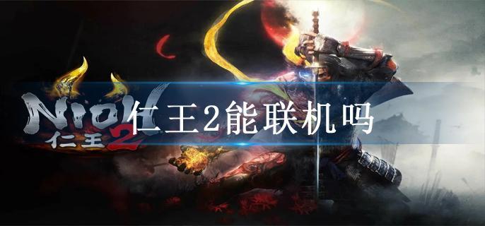 仁王2能联机吗