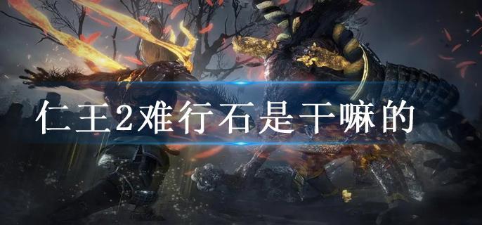 仁王2难行石是干嘛的