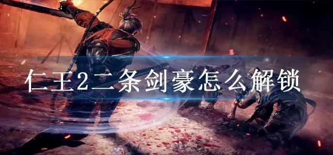 仁王2二条剑豪怎么解锁