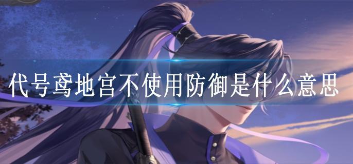 代号鸢地宫不使用防御是什么意思