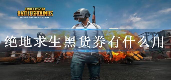 绝地求生黑货券有什么用