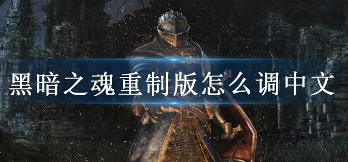 黑暗之魂重制版怎么调中文