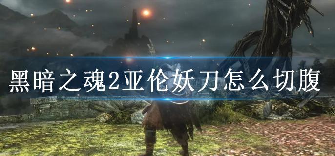 黑暗之魂2亚伦妖刀怎么切腹