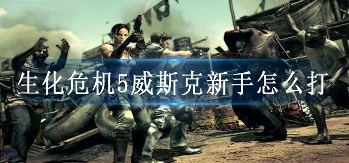 生化危机5威斯克新手怎么打