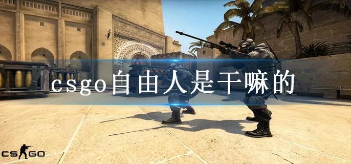 csgo自由人是干嘛的