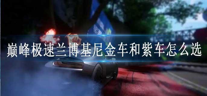 巅峰极速兰博基尼金车和紫车怎么选