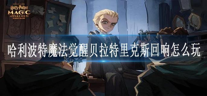 哈利波特魔法觉醒贝拉特里克斯回响怎么玩