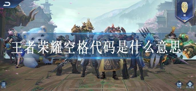 王者荣耀空格代码是什么意思