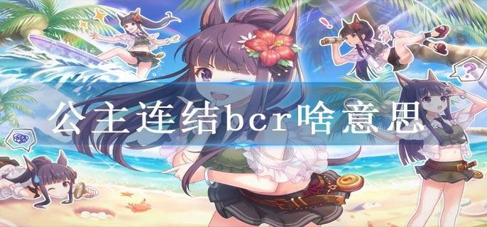 公主连结bcr啥意思