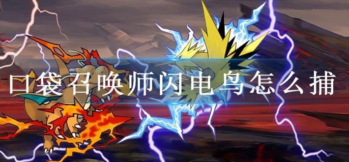 口袋召唤师闪电鸟怎么捕