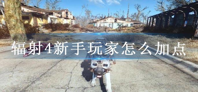 辐射4新手玩家怎么加点