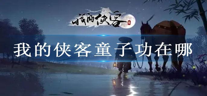 我的侠客童子功在哪
