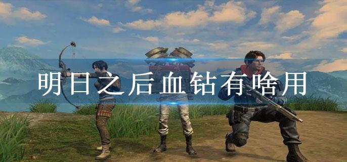 明日之后血钻有啥用