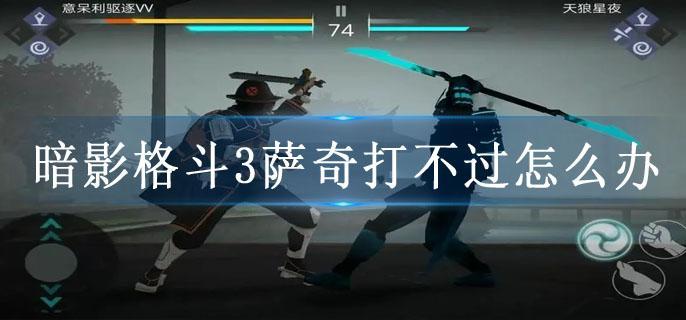 暗影格斗3萨奇打不过怎么办
