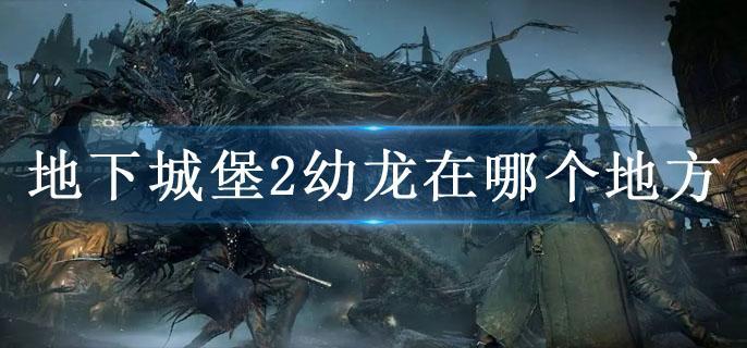 地下城堡2幼龙在哪个地方