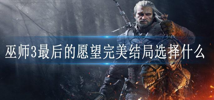 巫师3最后的愿望完美结局选择什么