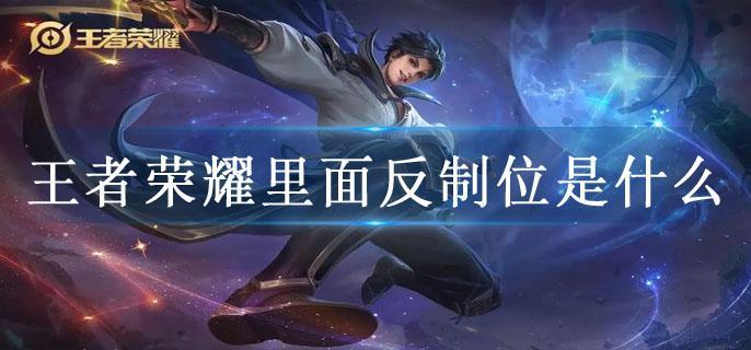 王者荣耀里面反制位是什么