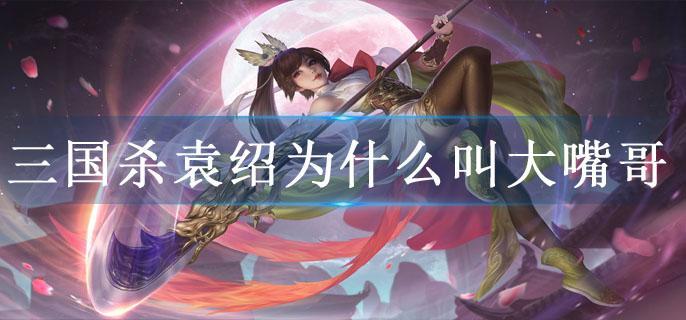 三国杀袁绍为什么叫大嘴哥