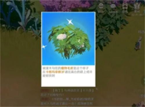 圣境之塔魔物毛皮在哪-魔物毛皮获取攻略