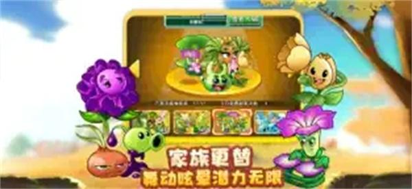 植物大战僵尸随机版(图3)