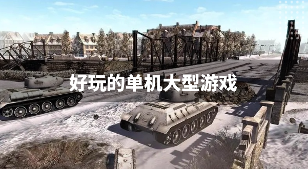 好玩的单机大型游戏-大型单机游戏下载