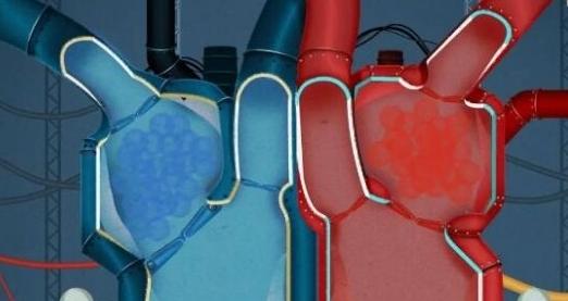 人体工厂爱的力学怎么过-爱的力学攻略