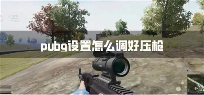 pubg设置怎么调好压枪