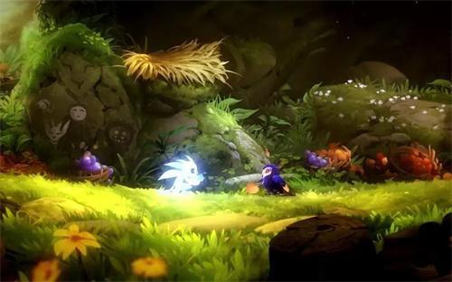 奥日与黑暗森林攻略全关卡-所有关卡怎么过