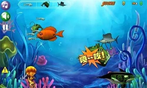 鱼吃鱼怎么获得永久苍龙-苍龙永久兑换码