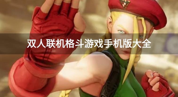 双人联机格斗游戏手机版大全