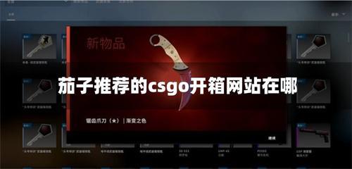 茄子推荐的csgo开箱网站在哪