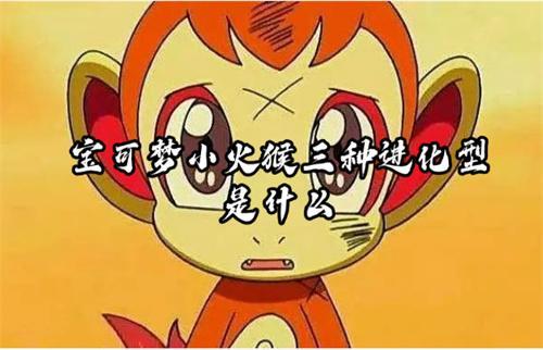 宝可梦小火猴三种进化型是什么