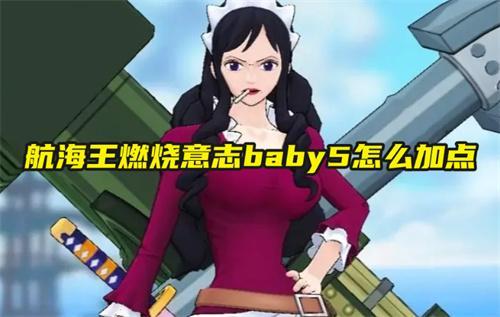 航海王燃烧意志baby5怎么加点