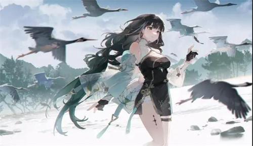 鸣潮白芷技能怎么点-白芷技能加点攻略