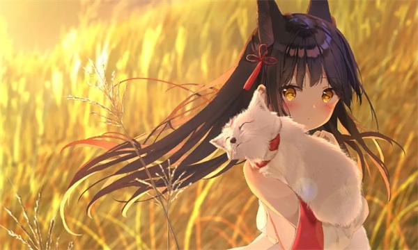 冷狐300款免费游戏汉化入口-冷狐安卓直装汉化版游戏合集