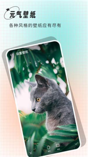 清壁纸(图3)