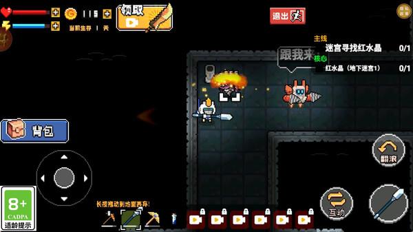 绝境孤岛(图4)