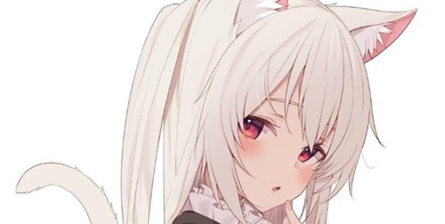 可以跟美少女互动的二次元游戏