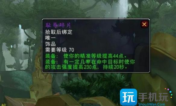 魔兽世界耻辱碎片猎人怎么使用