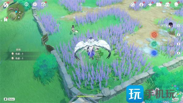 原神在开满鲜花的草地上任务流程图6