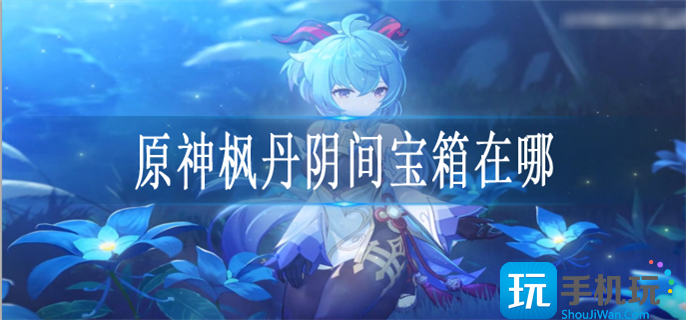 原神枫丹阴间宝箱在哪 原神枫丹阴间宝箱在哪